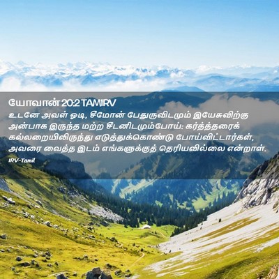 Picture 02 - யோவான் 20:2 TAMIRV - உடனே அவள் ஓடி, - Bible Verse Picture