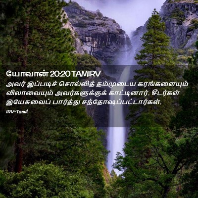 Picture 02 - யோவான் 20:20 TAMIRV - அவர் இப்படிச் - Bible Verse Picture