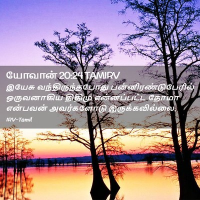 Picture 02 - யோவான் 20:24 TAMIRV - இயேசு - Bible Verse Picture