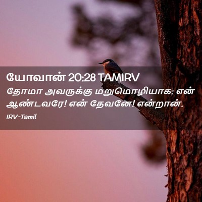 Picture 02 - யோவான் 20:28 TAMIRV - தோமா அவருக்கு - Bible Verse Picture