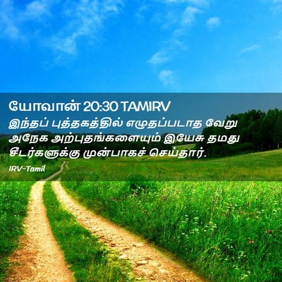 Picture 02 - யோவான் 20:30 TAMIRV - இந்தப் - Bible Verse Picture