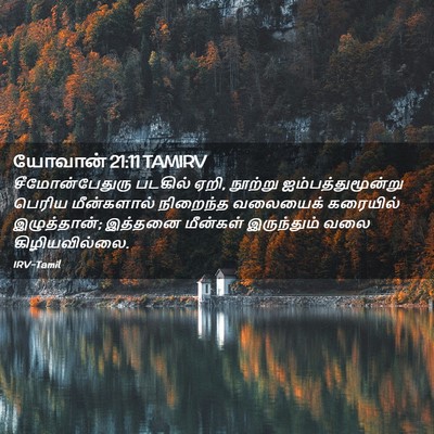 Picture 02 - யோவான் 21:11 TAMIRV - சீமோன்பேதுரு - Bible Verse Picture
