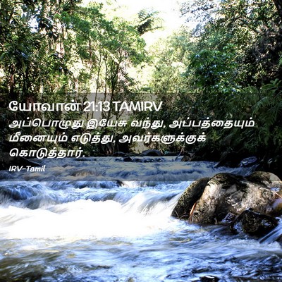 Picture 02 - யோவான் 21:13 TAMIRV - அப்பொழுது இயேசு - Bible Verse Picture