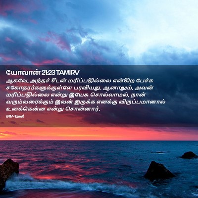 Picture 02 - யோவான் 21:23 TAMIRV - ஆகவே, அந்தச் சீடன் - Bible Verse Picture