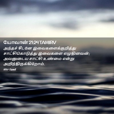 Picture 02 - யோவான் 21:24 TAMIRV - அந்தச் சீடனே - Bible Verse Picture