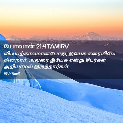 Picture 02 - யோவான் 21:4 TAMIRV -  - Bible Verse Picture