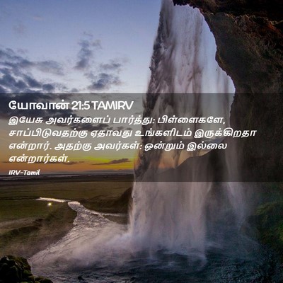 Picture 02 - யோவான் 21:5 TAMIRV - இயேசு அவர்களைப் - Bible Verse Picture