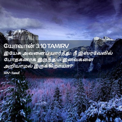 Picture 02 - யோவான் 3:10 TAMIRV - இயேசு அவனைப் - Bible Verse Picture