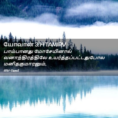 Picture 02 - யோவான் 3:14 TAMIRV - பாம்பானது - Bible Verse Picture