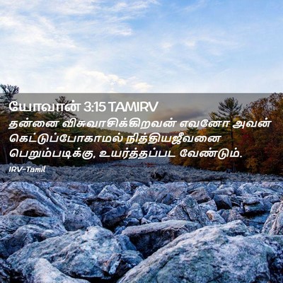 Picture 02 - யோவான் 3:15 TAMIRV - தன்னை - Bible Verse Picture