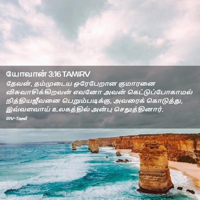Picture 02 - யோவான் 3:16 TAMIRV - தேவன், தம்முடைய - Bible Verse Picture