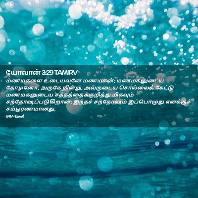 Picture 02 - யோவான் 3:29 TAMIRV - மணமகளை உடையவனே - Bible Verse Picture