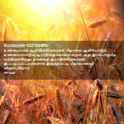 Picture 02 - யோவான் 4:23 TAMIRV - உண்மையாக - Bible Verse Picture