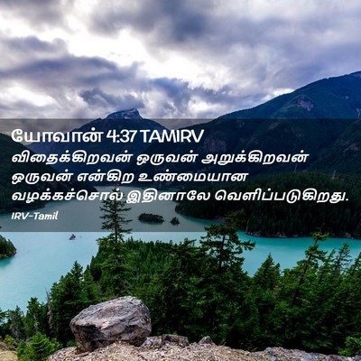 Picture 02 - யோவான் 4:37 TAMIRV - விதைக்கிறவன் - Bible Verse Picture