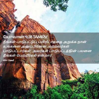Picture 02 - யோவான் 4:38 TAMIRV - நீங்கள் - Bible Verse Picture