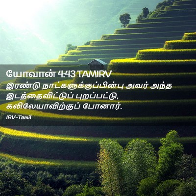 Picture 02 - யோவான் 4:43 TAMIRV - இரண்டு - Bible Verse Picture