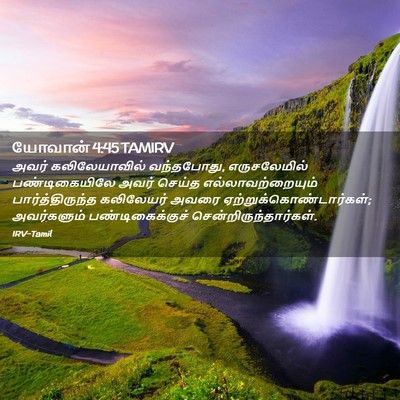 Picture 02 - யோவான் 4:45 TAMIRV - அவர் கலிலேயாவில் - Bible Verse Picture
