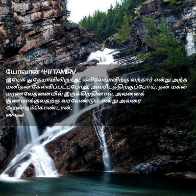 Picture 02 - யோவான் 4:47 TAMIRV - இயேசு - Bible Verse Picture