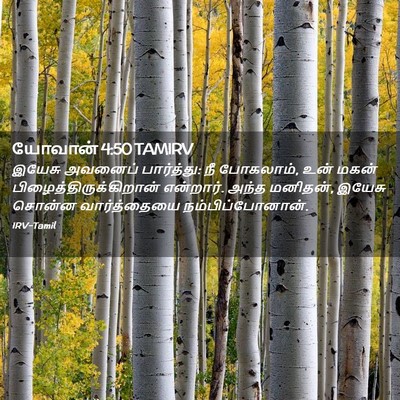 Picture 02 - யோவான் 4:50 TAMIRV - இயேசு அவனைப் - Bible Verse Picture