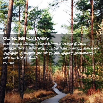 Picture 02 - யோவான் 4:53 TAMIRV - உன் மகன் - Bible Verse Picture