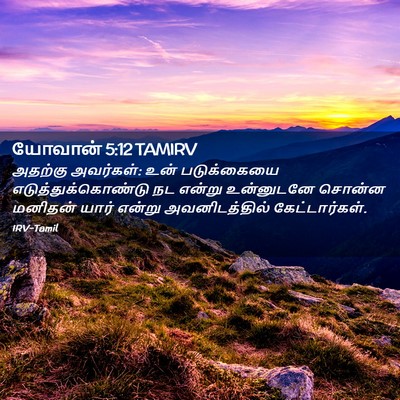 Picture 02 - யோவான் 5:12 TAMIRV - அதற்கு அவர்கள்: - Bible Verse Picture