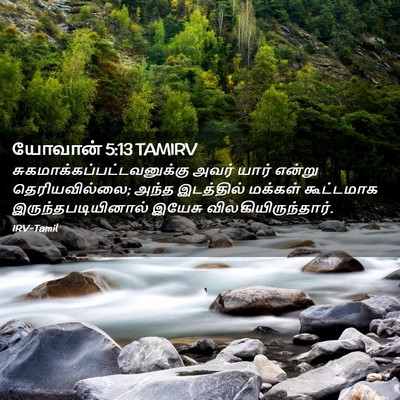 Picture 02 - யோவான் 5:13 TAMIRV -  - Bible Verse Picture
