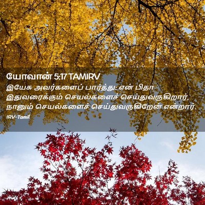 Picture 02 - யோவான் 5:17 TAMIRV - இயேசு அவர்களைப் - Bible Verse Picture