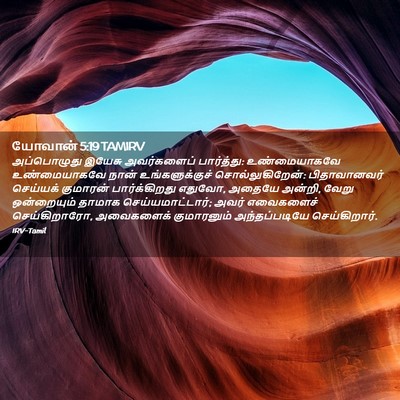 Picture 02 - யோவான் 5:19 TAMIRV - அப்பொழுது இயேசு - Bible Verse Picture