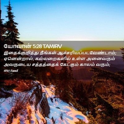 Picture 02 - யோவான் 5:28 TAMIRV - இதைக்குறித்து - Bible Verse Picture