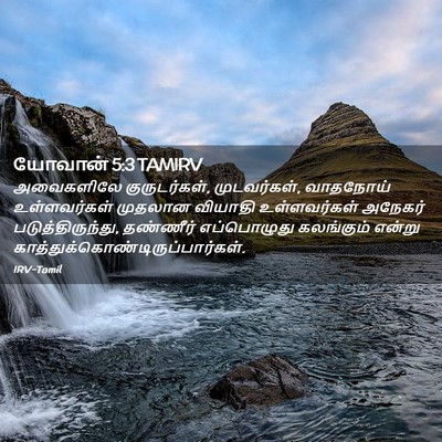 Picture 02 - யோவான் 5:3 TAMIRV - அவைகளிலே - Bible Verse Picture