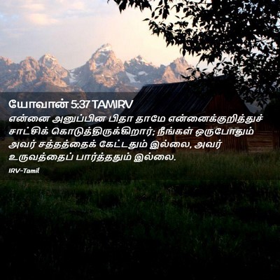 Picture 02 - யோவான் 5:37 TAMIRV - என்னை அனுப்பின - Bible Verse Picture