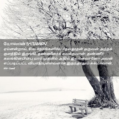 Picture 02 - யோவான் 5:4 TAMIRV - ஏனென்றால், சில - Bible Verse Picture