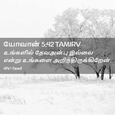 Picture 02 - யோவான் 5:42 TAMIRV - உங்களில் தேவஅன்பு - Bible Verse Picture