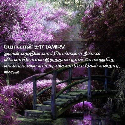 Picture 02 - யோவான் 5:47 TAMIRV - அவன் எழுதின - Bible Verse Picture