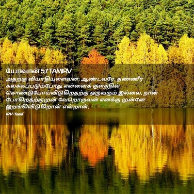 Picture 02 - யோவான் 5:7 TAMIRV - அதற்கு - Bible Verse Picture