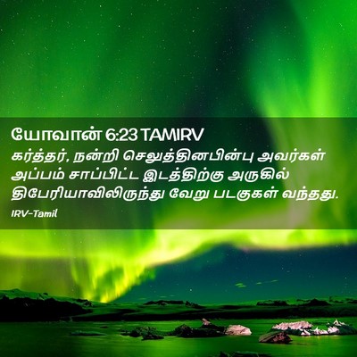 Picture 02 - யோவான் 6:23 TAMIRV - கர்த்தர், நன்றி - Bible Verse Picture