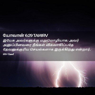 Picture 02 - யோவான் 6:29 TAMIRV - இயேசு அவர்களுக்கு - Bible Verse Picture
