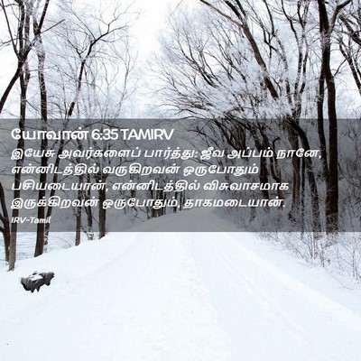 Picture 02 - யோவான் 6:35 TAMIRV - இயேசு அவர்களைப் - Bible Verse Picture