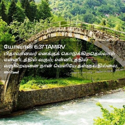 Picture 02 - யோவான் 6:37 TAMIRV - பிதாவானவர் - Bible Verse Picture