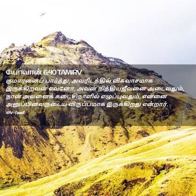 Picture 02 - யோவான் 6:40 TAMIRV - குமாரனைப் - Bible Verse Picture
