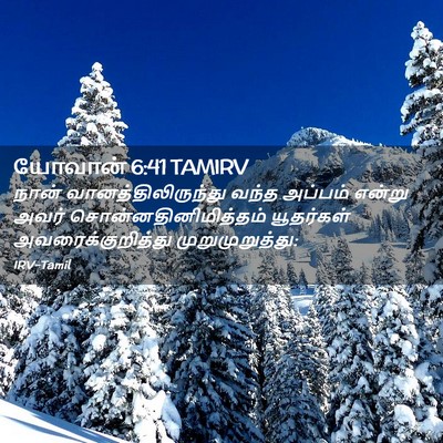 Picture 02 - யோவான் 6:41 TAMIRV - நான் - Bible Verse Picture