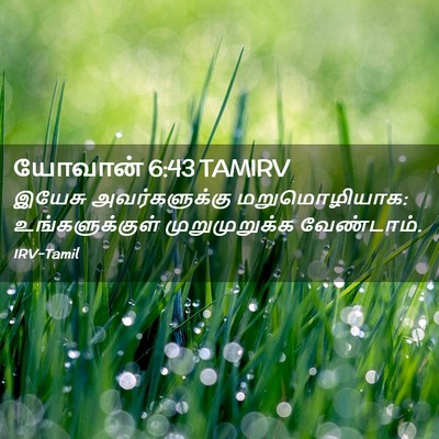 Picture 02 - யோவான் 6:43 TAMIRV - இயேசு அவர்களுக்கு - Bible Verse Picture