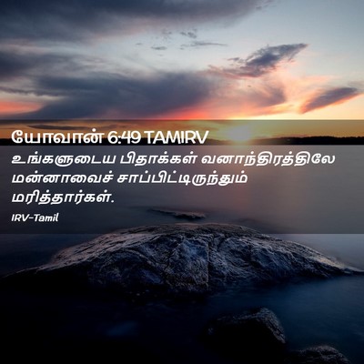 Picture 02 - யோவான் 6:49 TAMIRV - உங்களுடைய - Bible Verse Picture