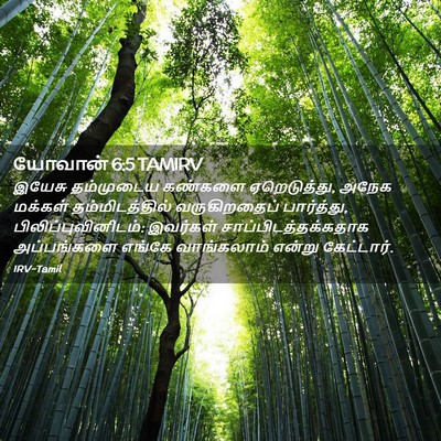 Picture 02 - யோவான் 6:5 TAMIRV - இயேசு தம்முடைய - Bible Verse Picture