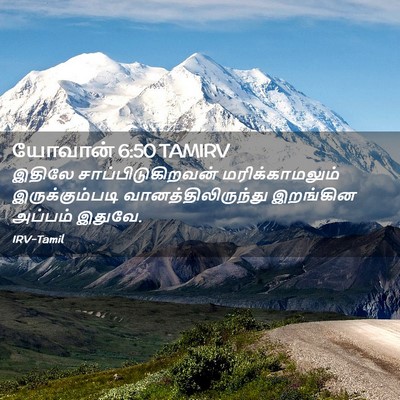Picture 02 - யோவான் 6:50 TAMIRV - இதிலே - Bible Verse Picture