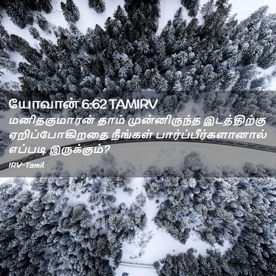 Picture 02 - யோவான் 6:62 TAMIRV - மனிதகுமாரன் தாம் - Bible Verse Picture