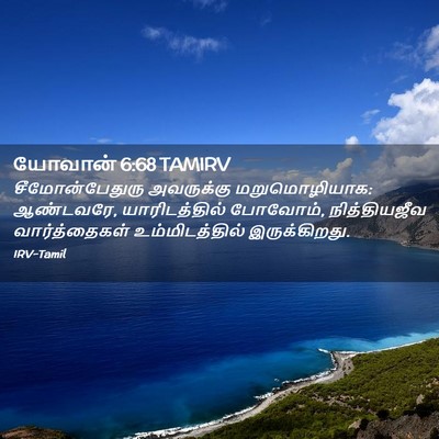 Picture 02 - யோவான் 6:68 TAMIRV - சீமோன்பேதுரு - Bible Verse Picture