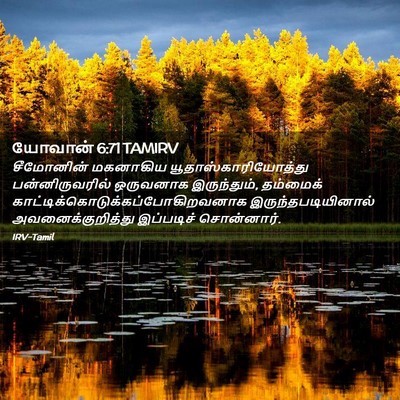 Picture 02 - யோவான் 6:71 TAMIRV - சீமோனின் மகனாகிய - Bible Verse Picture