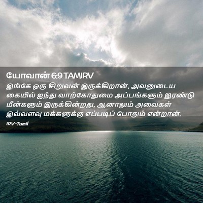 Picture 02 - யோவான் 6:9 TAMIRV - இங்கே ஒரு சிறுவன் - Bible Verse Picture