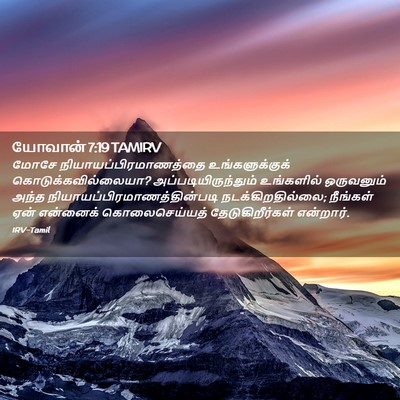 Picture 02 - யோவான் 7:19 TAMIRV - மோசே - Bible Verse Picture